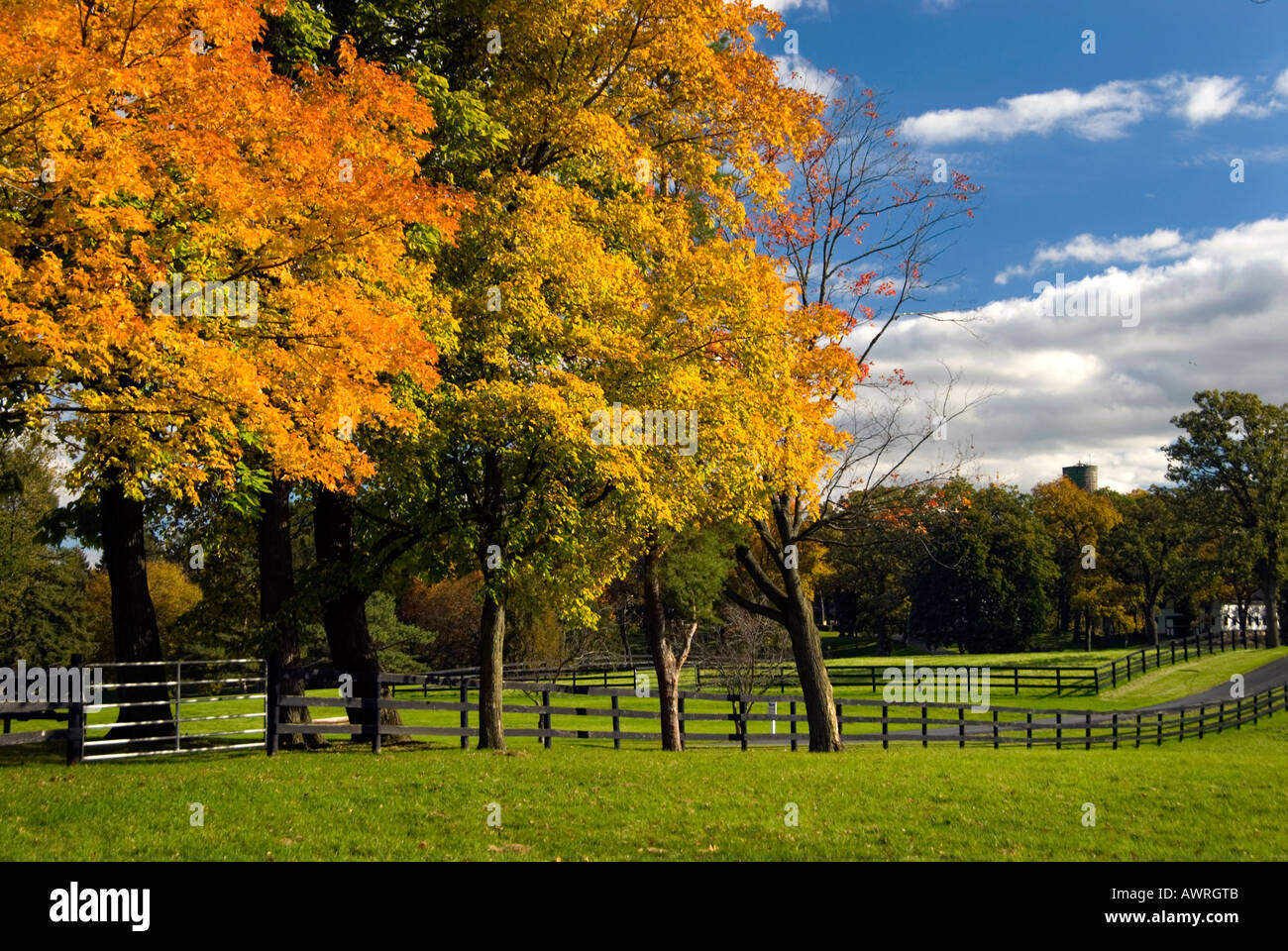 Beautiful fall farm hi-res stock photography and images - Alamy