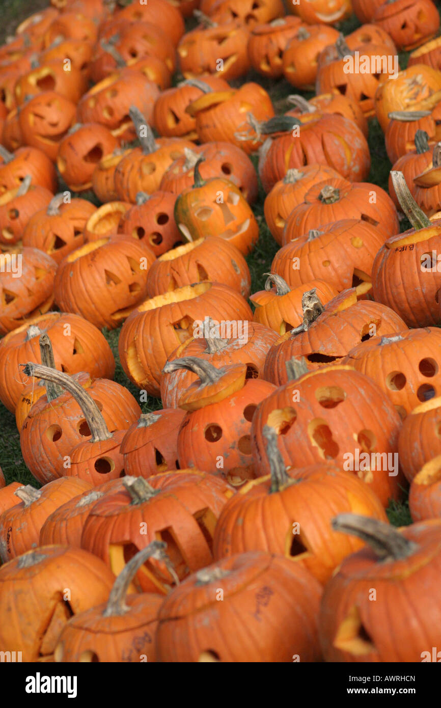 Annual pumpkin festival in Boston Common Stock Photo Alamy