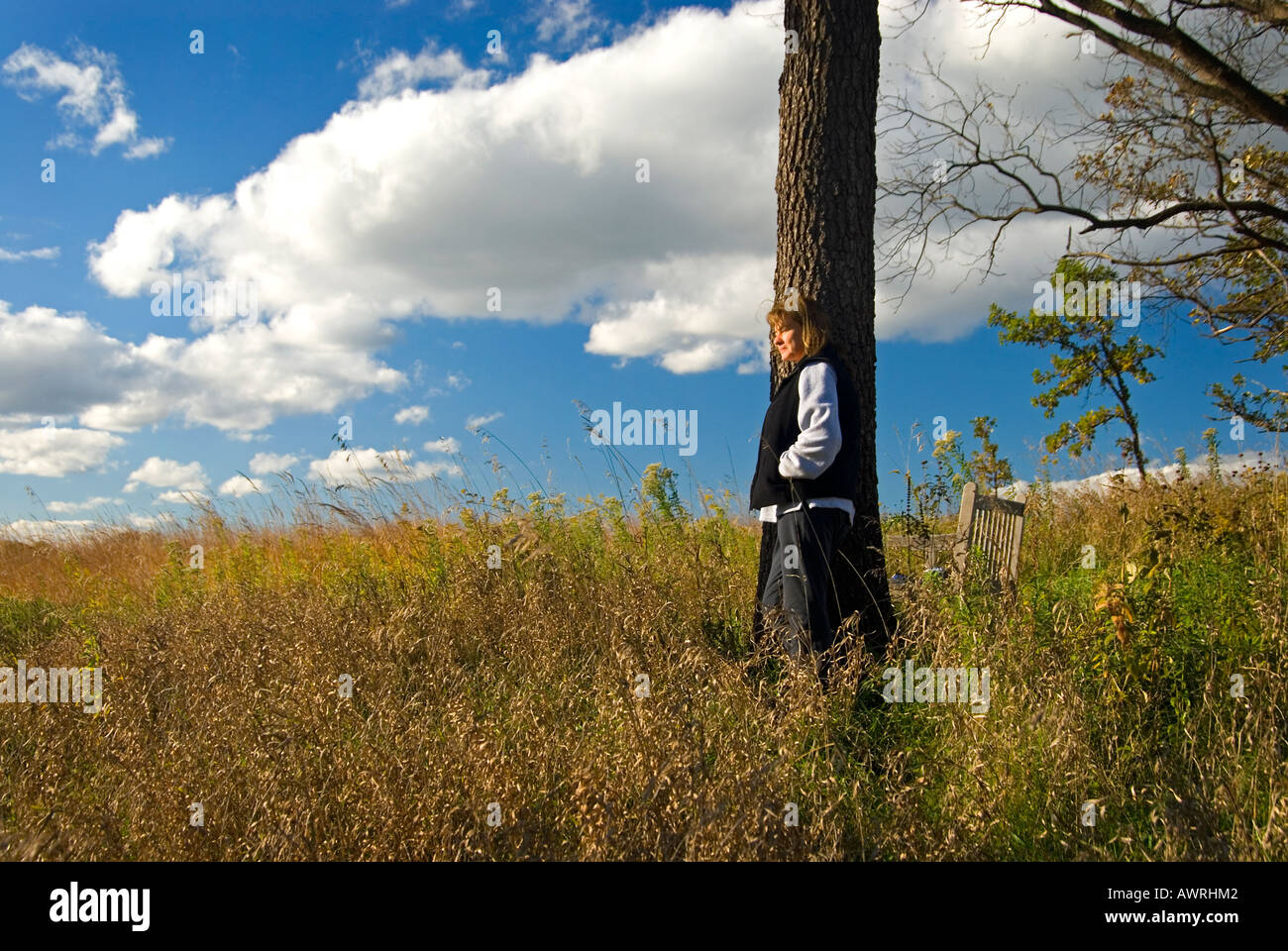 Lay Against Tree Female leaning against tree hi-res stock photography and images - Alamy