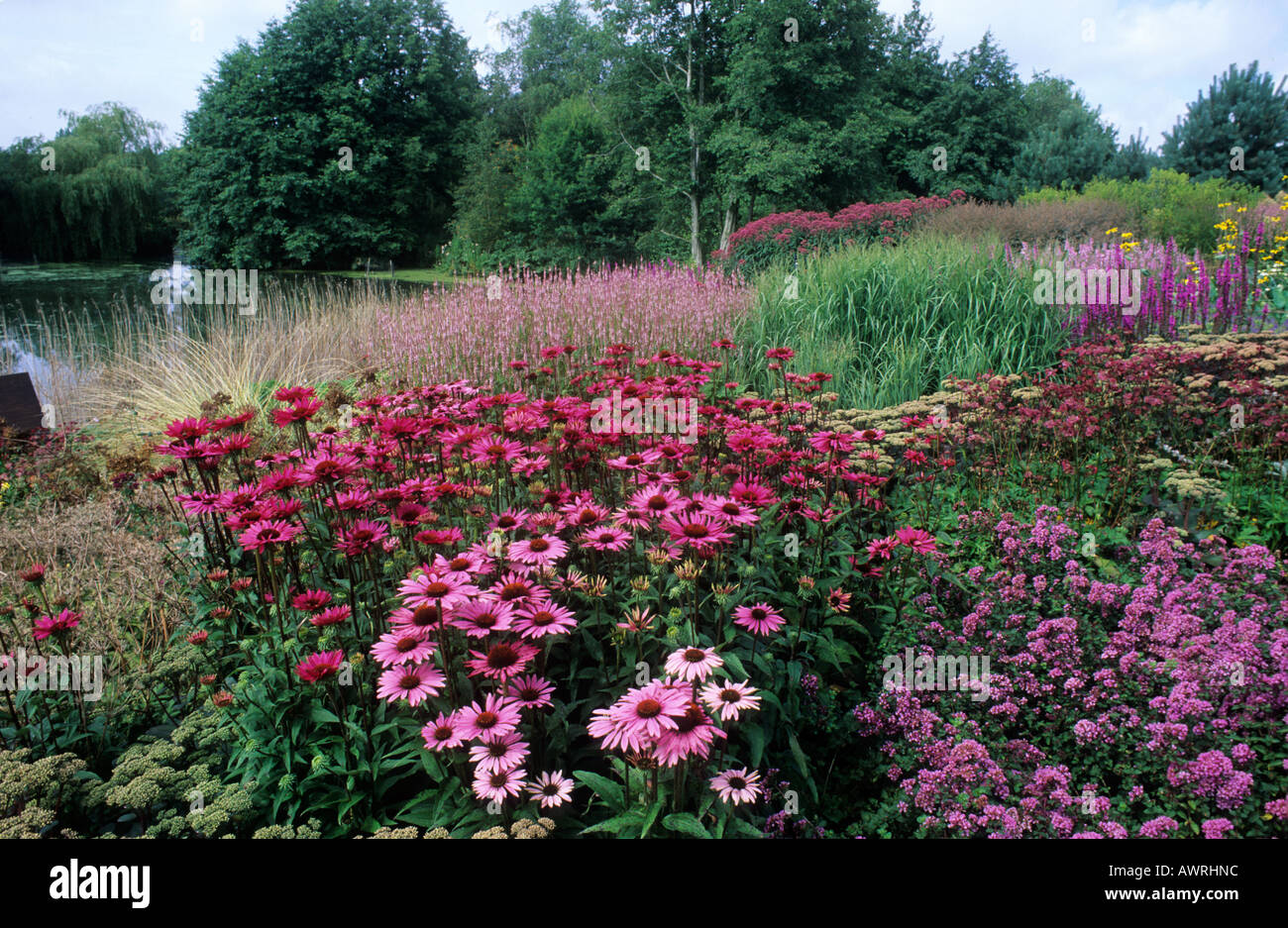 Pensthorpe Millenium Garden and Park, Norfolk Stock Photo