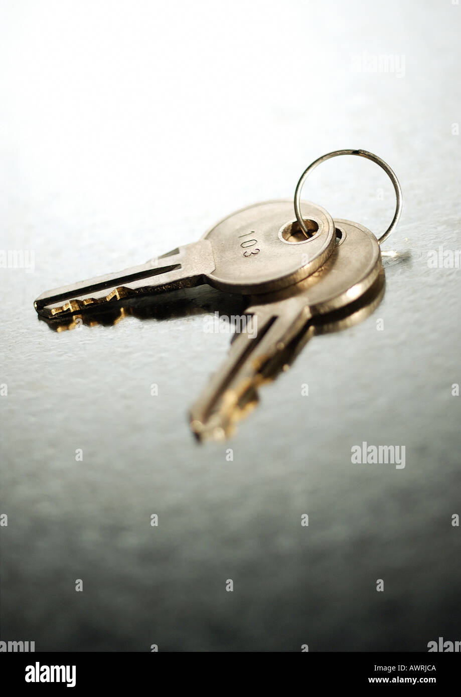 Two keys on a key ring Stock Photo Alamy