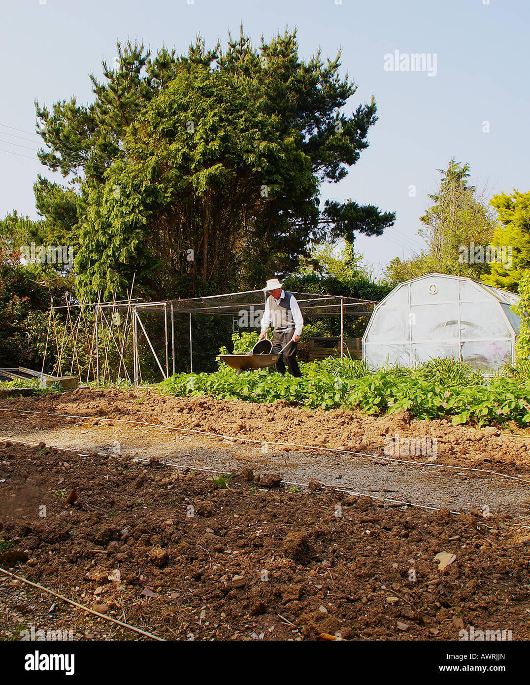 Old man garden in his hi-res stock photography and images - Alamy