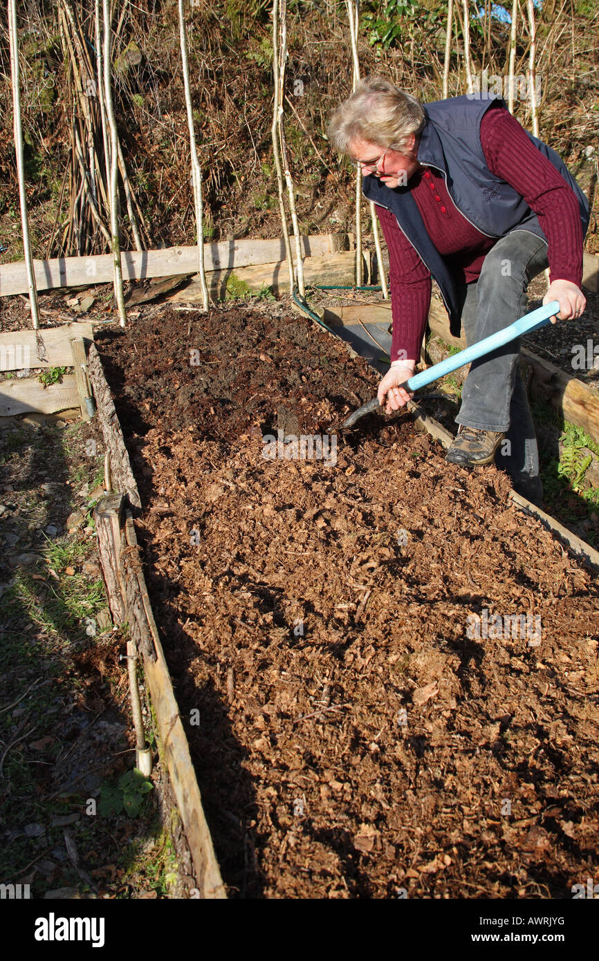 DIGGING LEAF MOLD INTO A RAISED BED Stock Photo Alamy