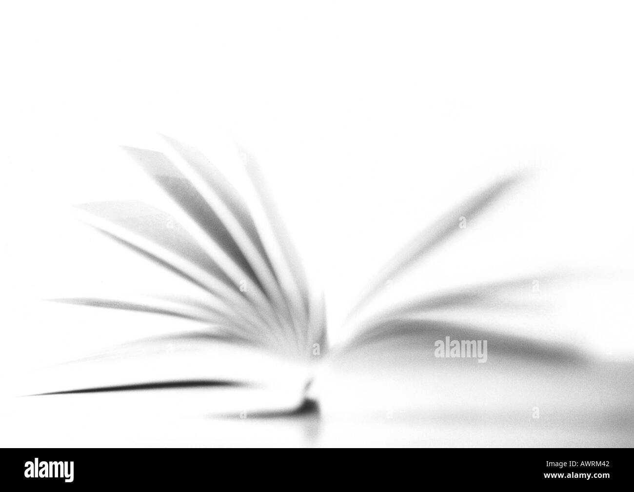 Open book, blurred, b&w. Stock Photo