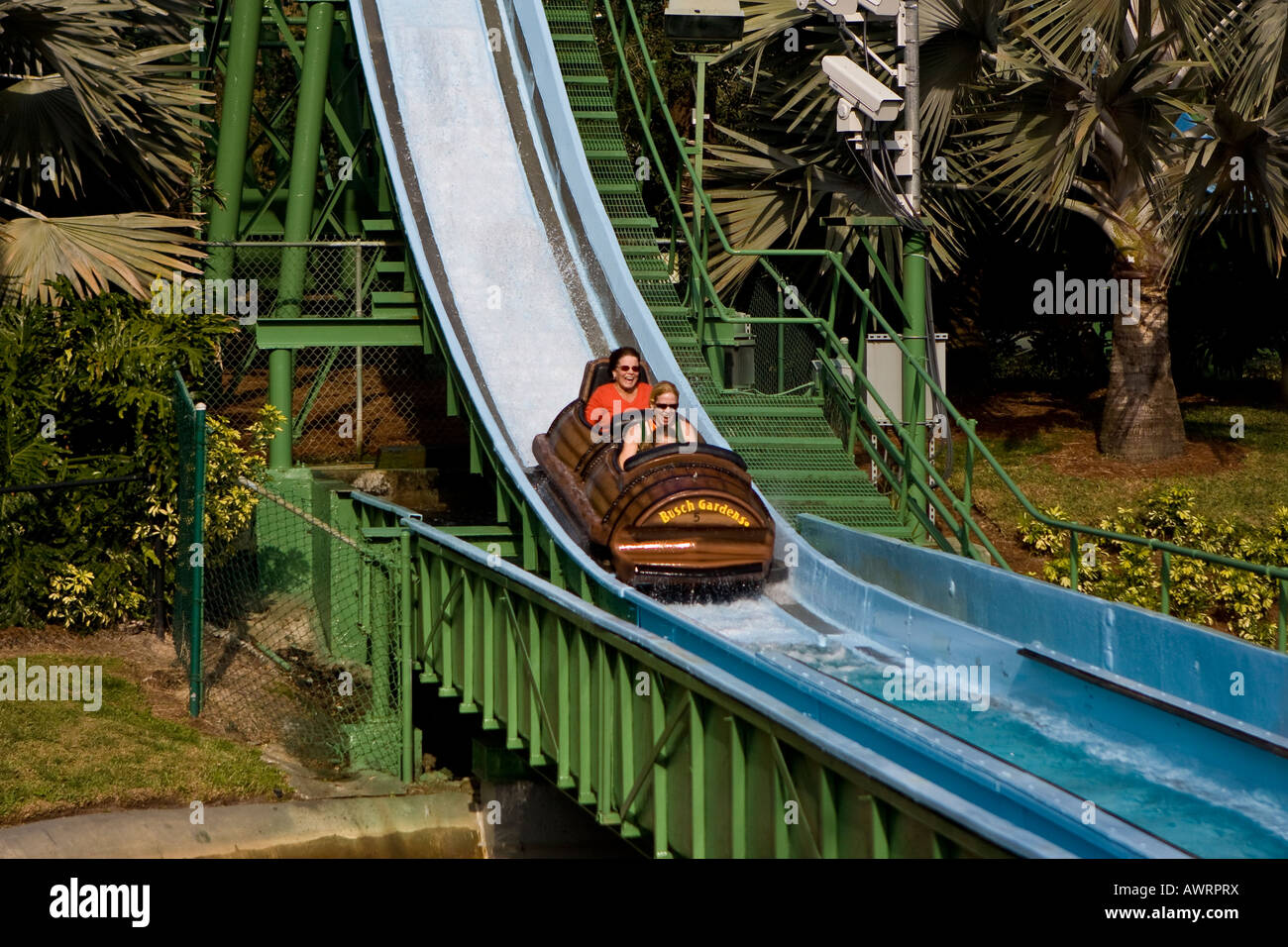 Log Flume Ride At Busch Gardens Florida Usa Stock Photo 16644157