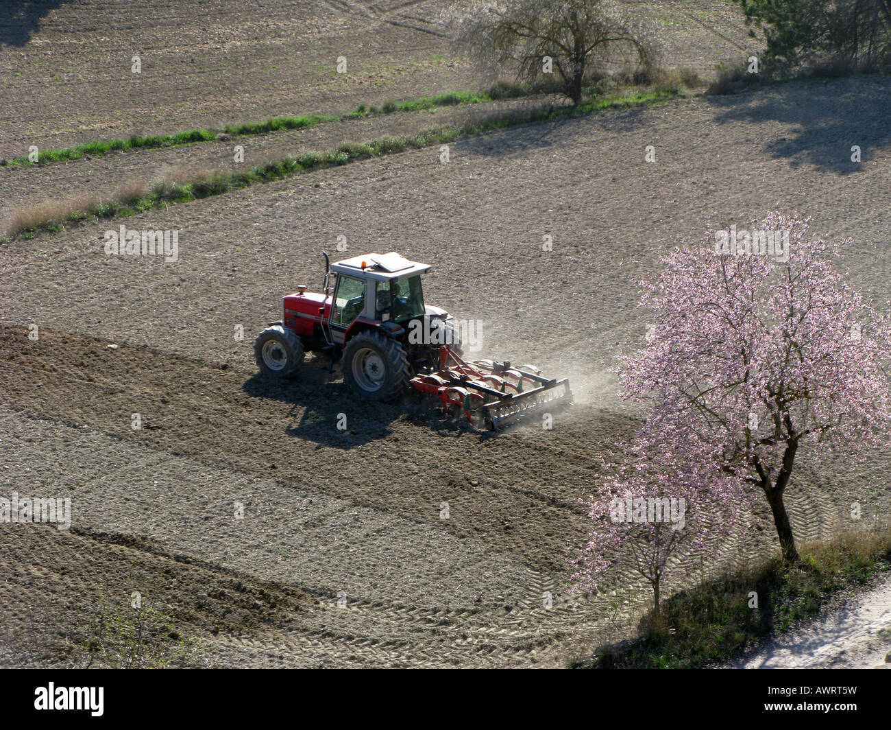 plough spring fields tractor Stock Photo - Alamy