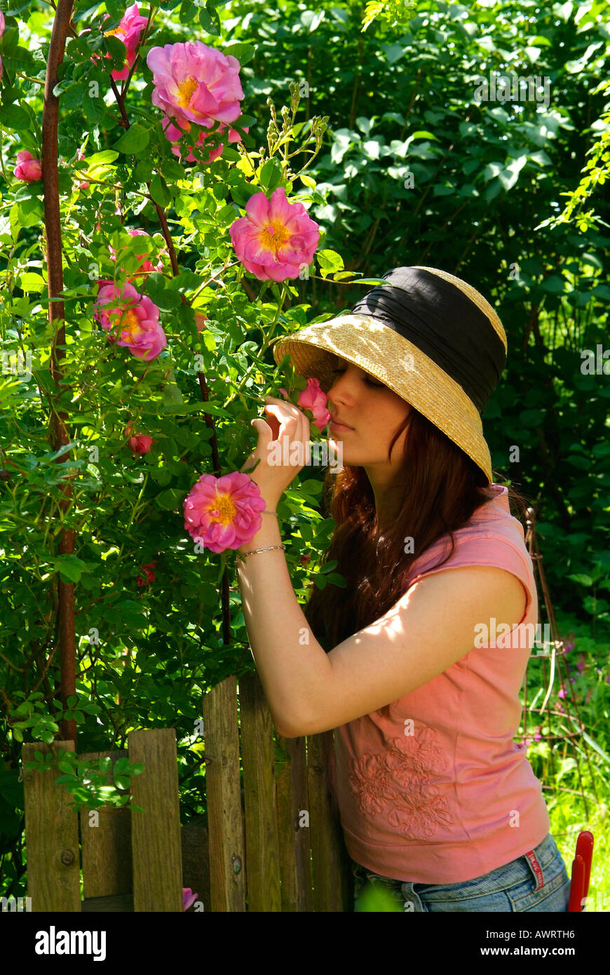 Young woman with a hat smells on a rose rosa moyesii marguerite hilling Stock Photo