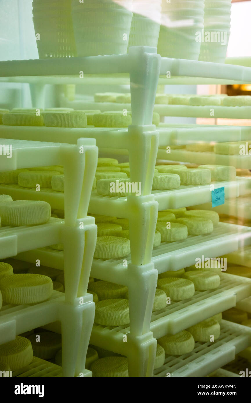 Industrial cheese salt hires stock photography and images Alamy