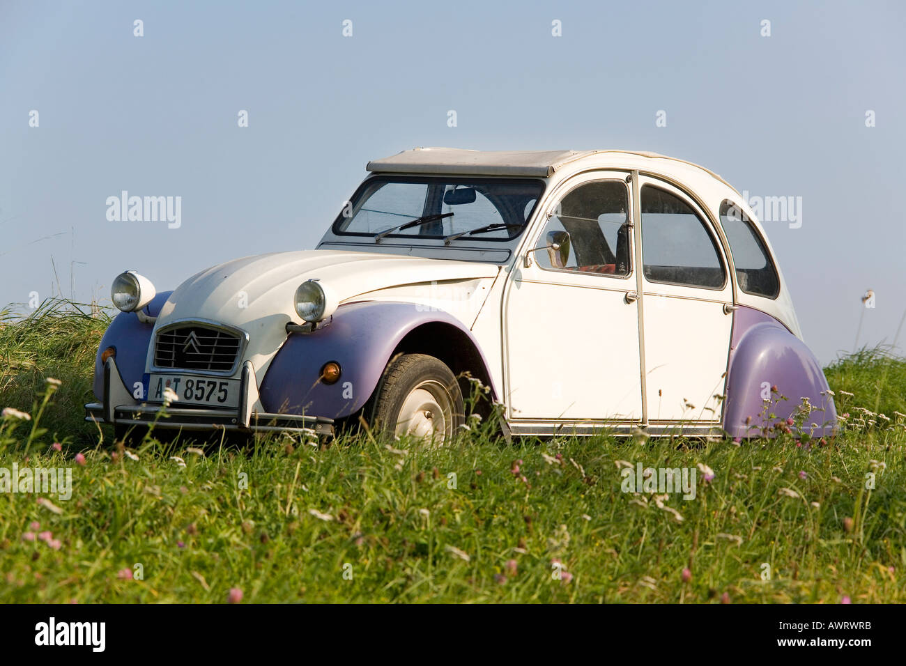 An old Citroen 2CV parking on a meadow Stock Photo