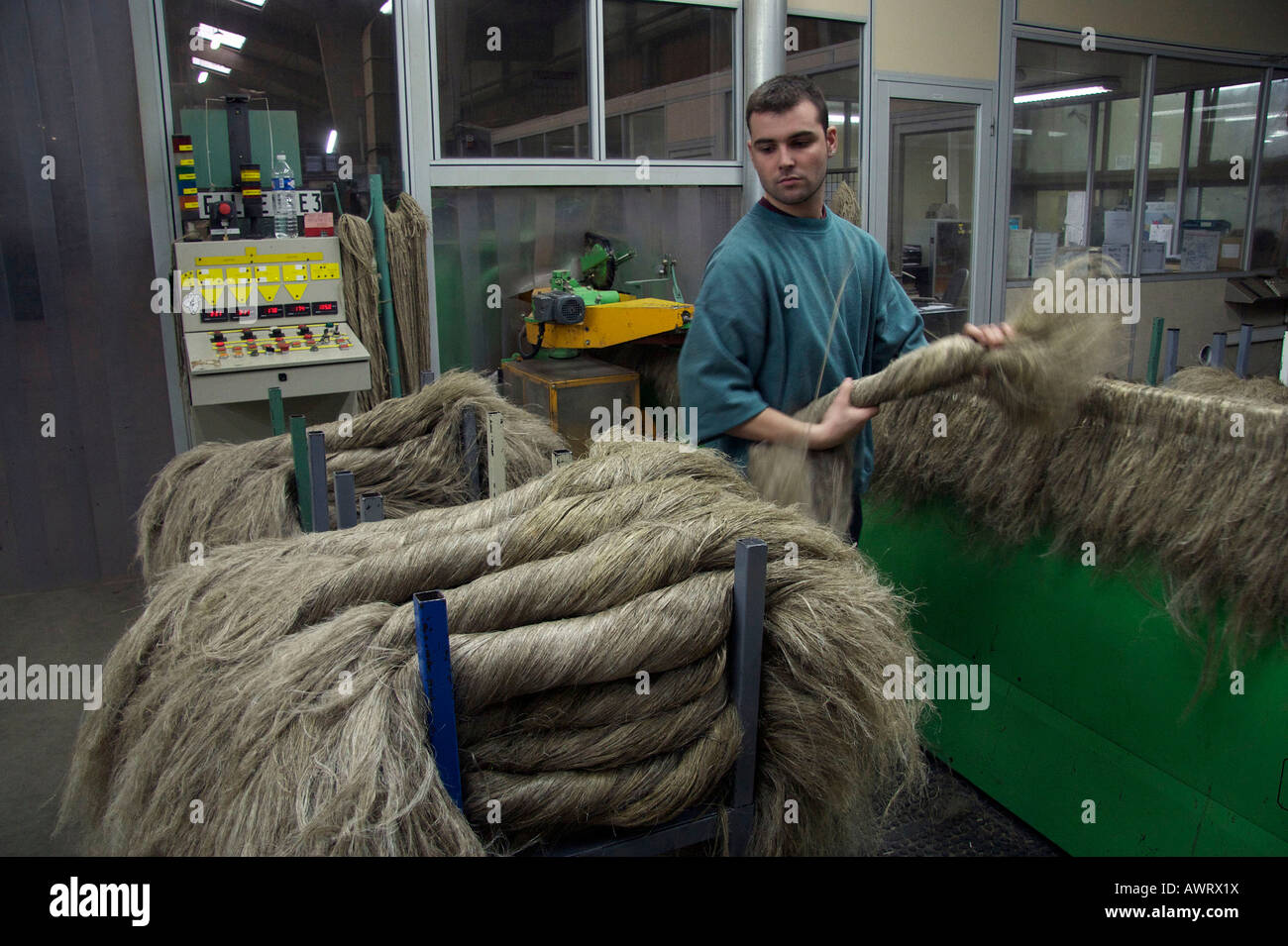 A worker is sorting the scutched flax fibers at the end of the scutching line Terre de Lin Stock Photo