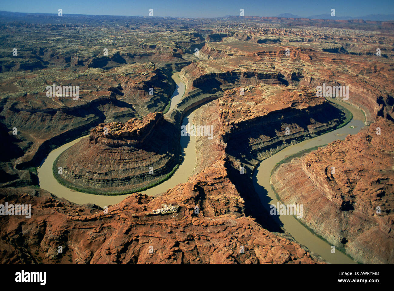 Aerial view of the Colorado River snaking through the Canyonlands Utah ...