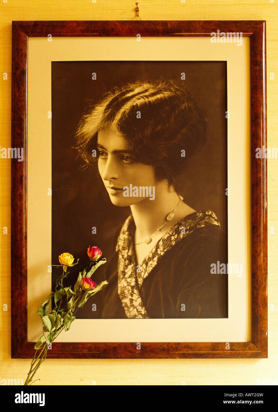 1920's vintage framed portrait of a young woman and withered roses flowers Stock Photo