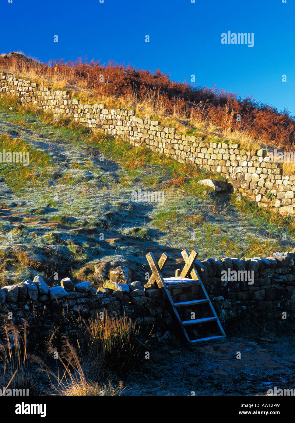 A wooden ladder stile crossing a drystone wall on a frosty morning on Hadrian's Wall National Trail in Northumberland National Park, England Stock Photo