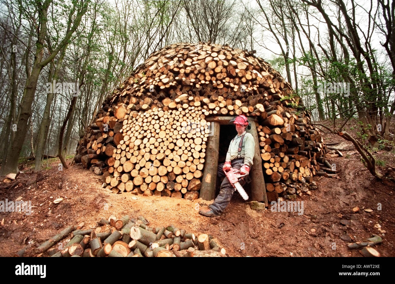 Man with chainsaw and the log cabin he has just built. Stock Photo