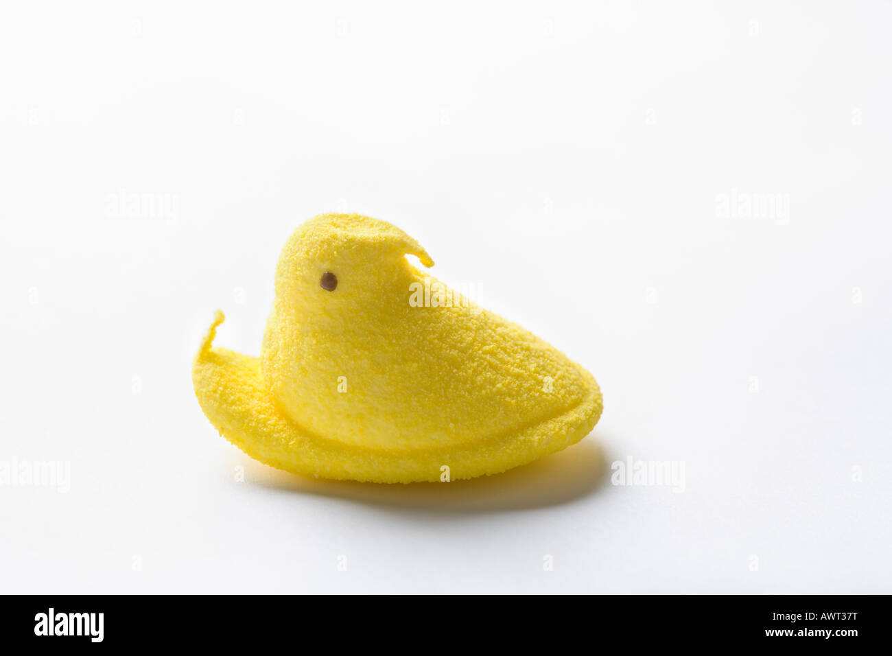 Sugarfree Marshmallow chick Stock Photo