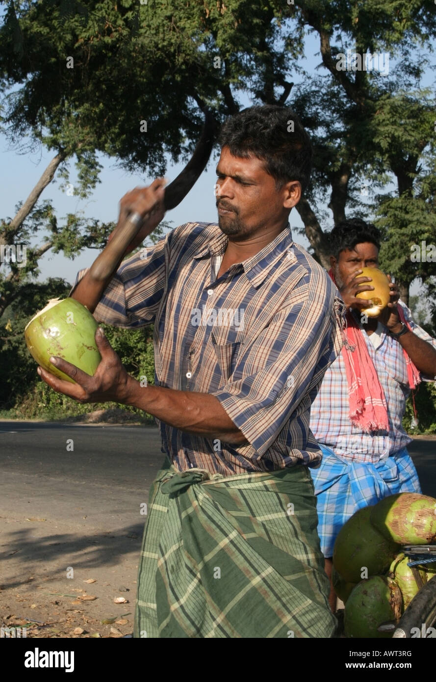 Road side water coconut vendor opening a coconut with a sickle , Tamil