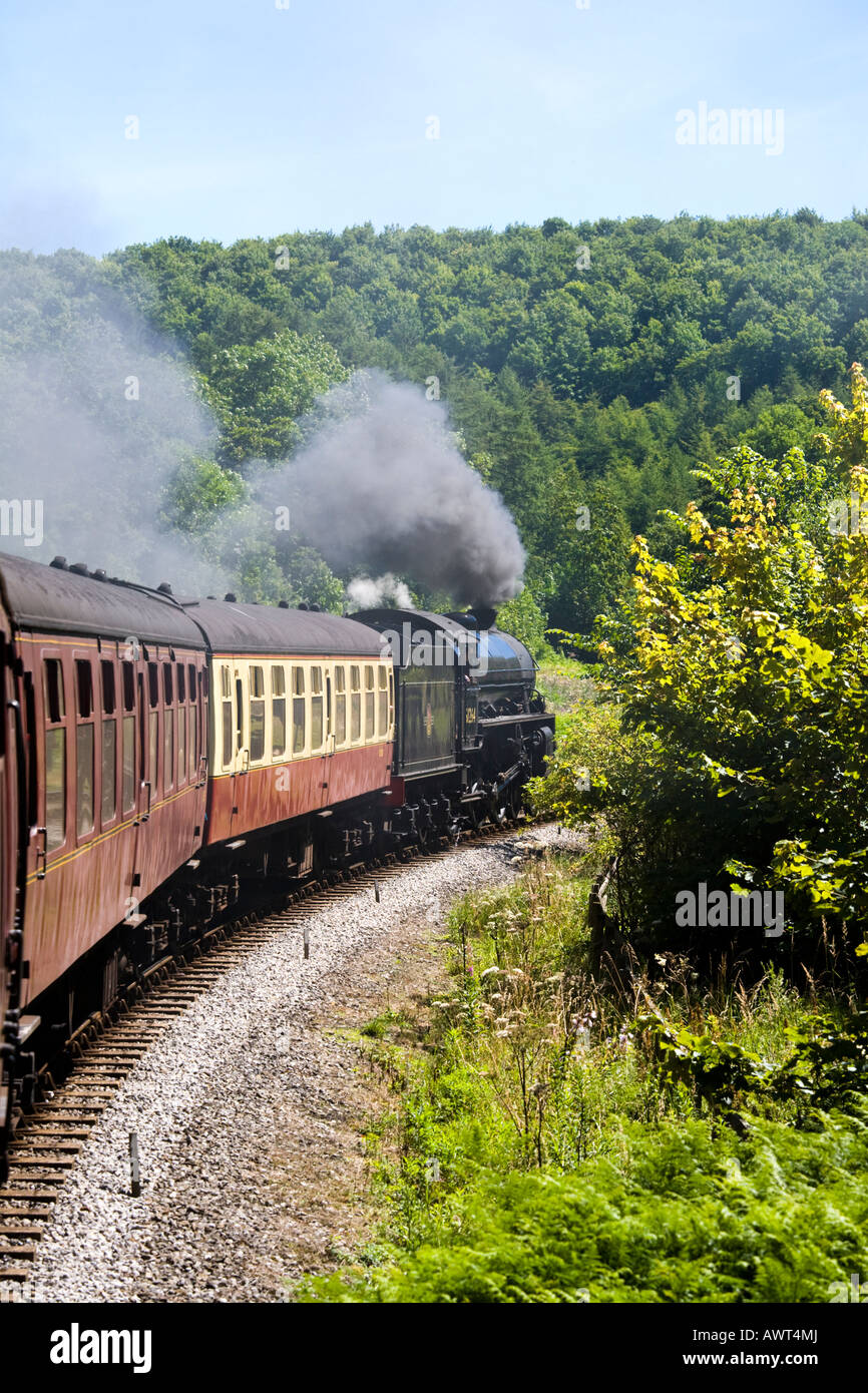 A tourist steam train on the North Yorkshire Moors Railway in Newton Dale north of Pickering, North Yorkshire Stock Photo