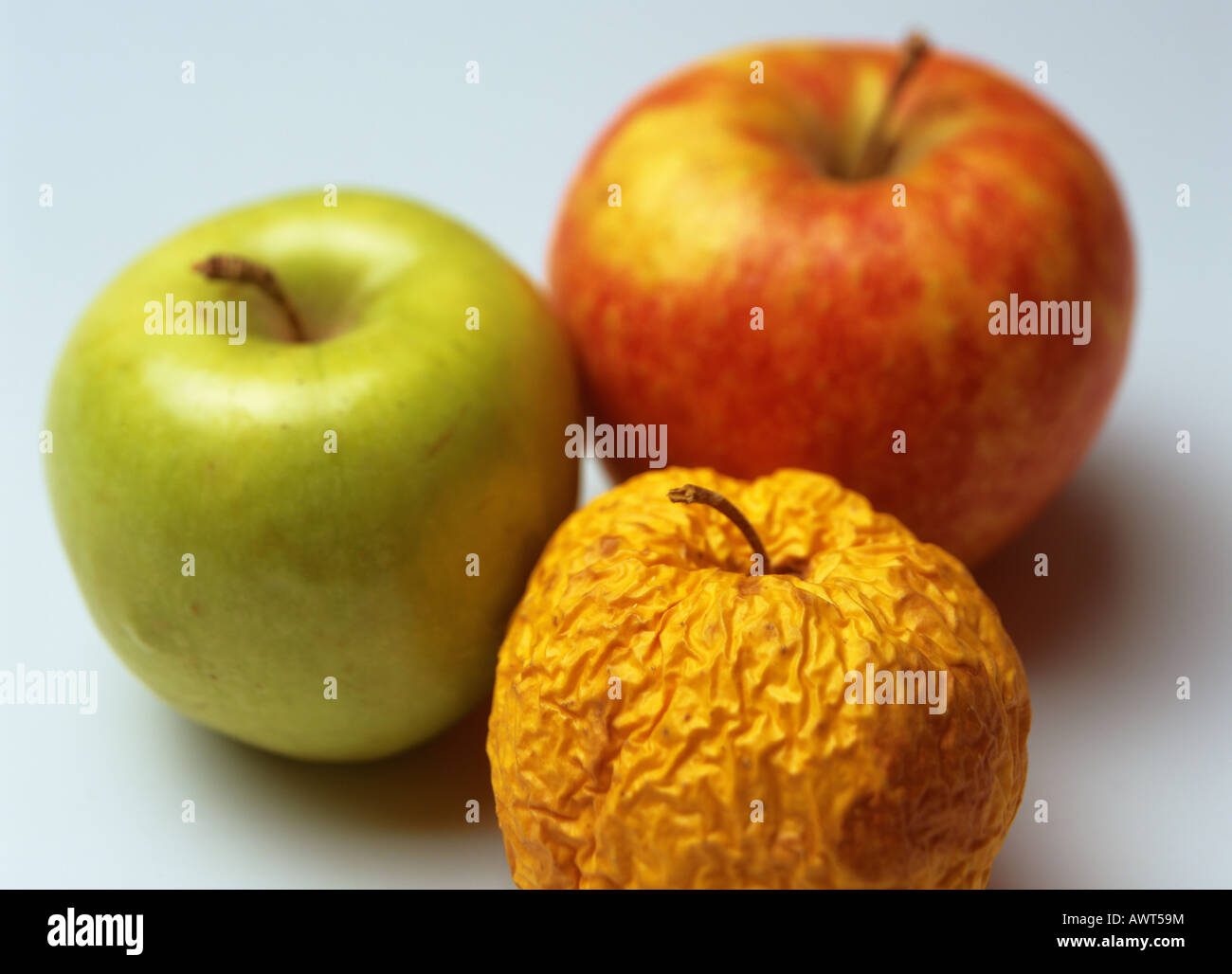 ONE WRINKLED YELLOW GOLDEN DELICIOUS WITH FRESH GRANNY SMITH AND PINK