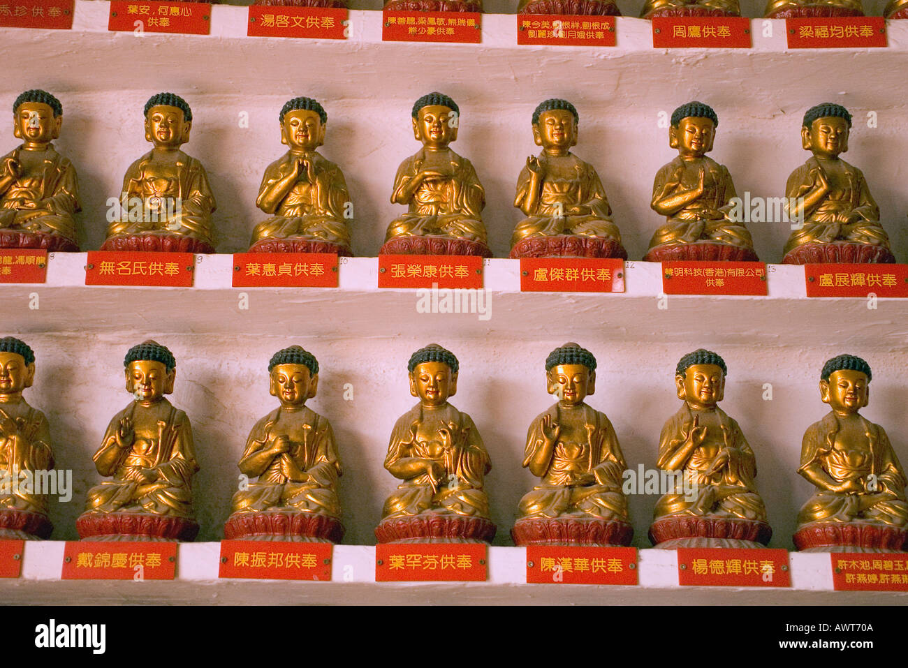 dh Ten Thousand Buddhas Monastery SHATIN HONG KONG Rows of small Buddhas statues on selved wall inside temple Stock Photo