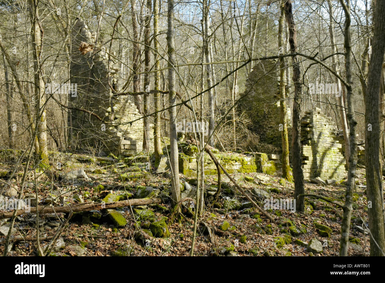 Frontier Kentucky