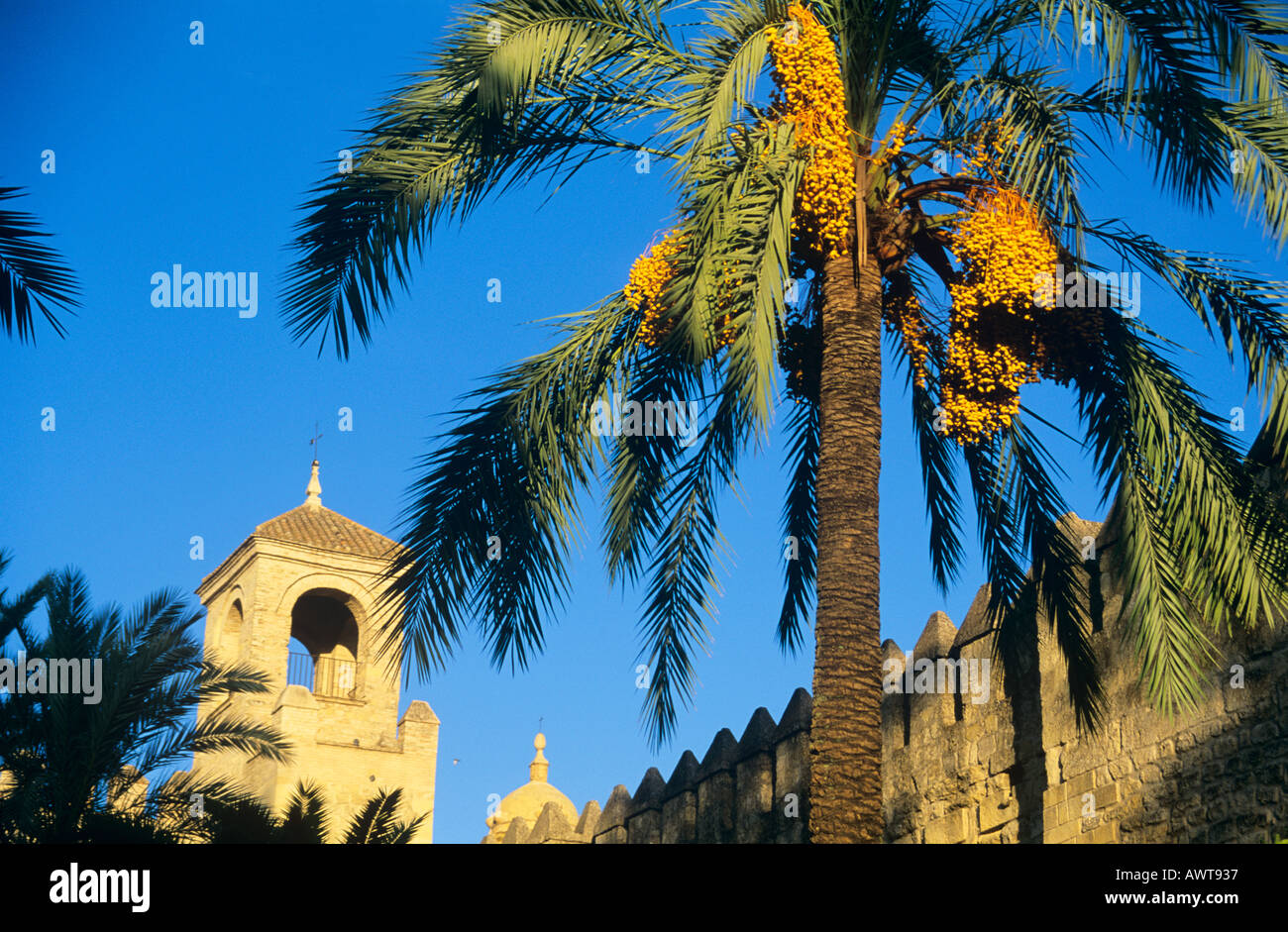 Alcazar de los Reyes Cristianos Cordoba, Spain Palm trees Moorish Spain Stock Photo