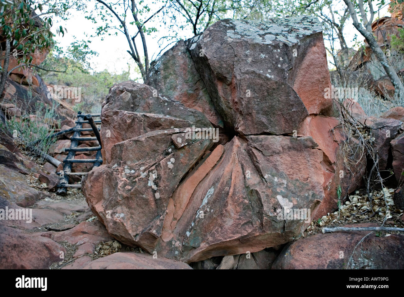 Rose shaped stone at Waterberg Plateau in Namibia Stock Photo - Alamy