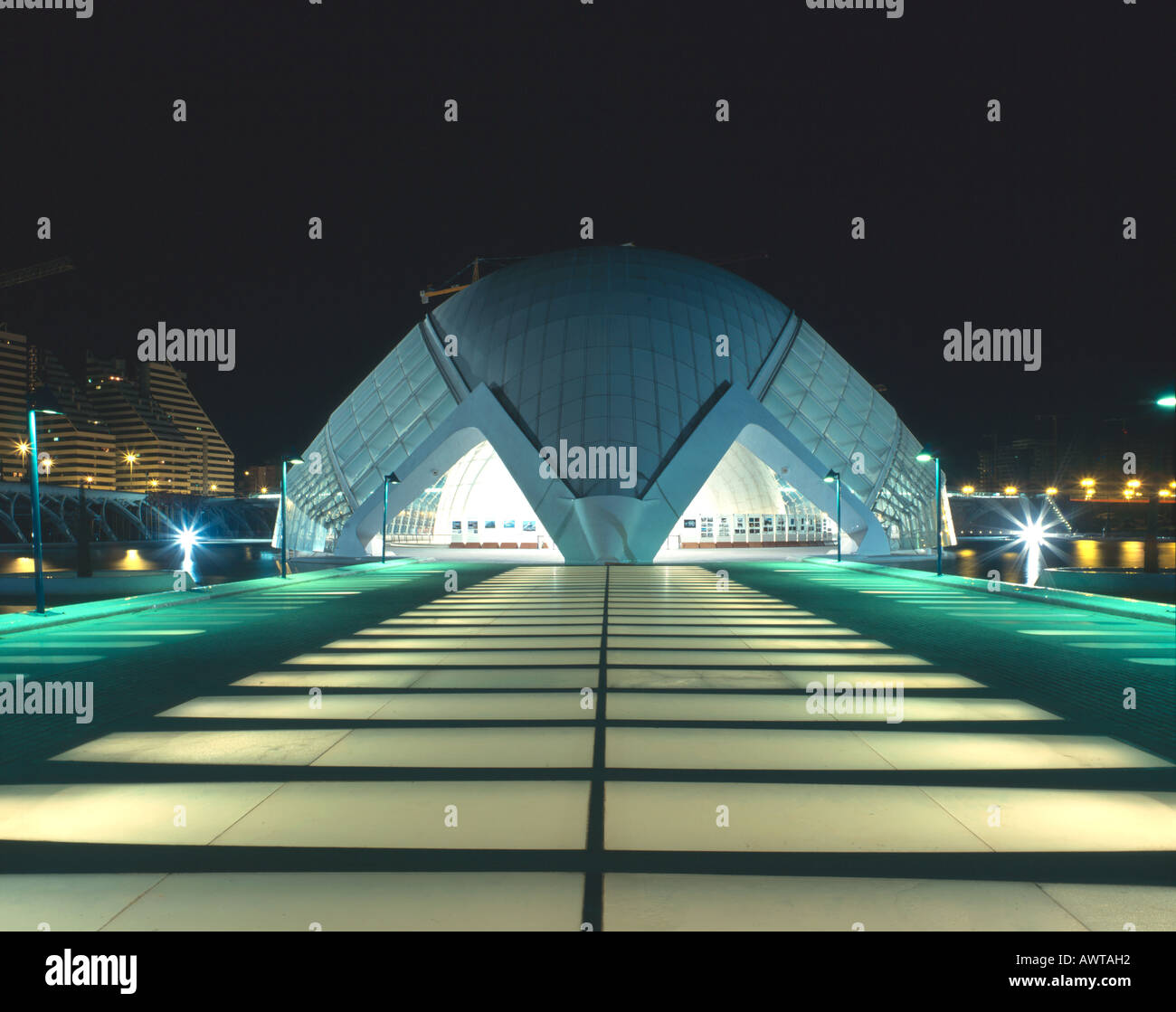 My Image 10