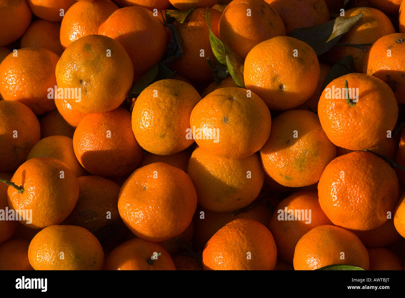 aurantium Clementine Mandarin Citrus Stock Photo Alamy