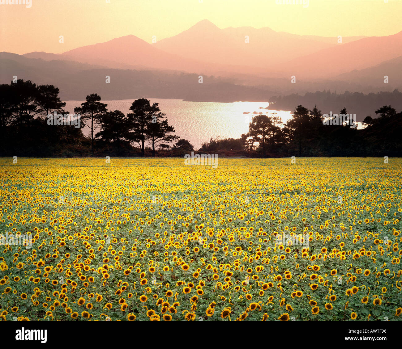 IE - CO.CORK:  Bantry Bay Stock Photo