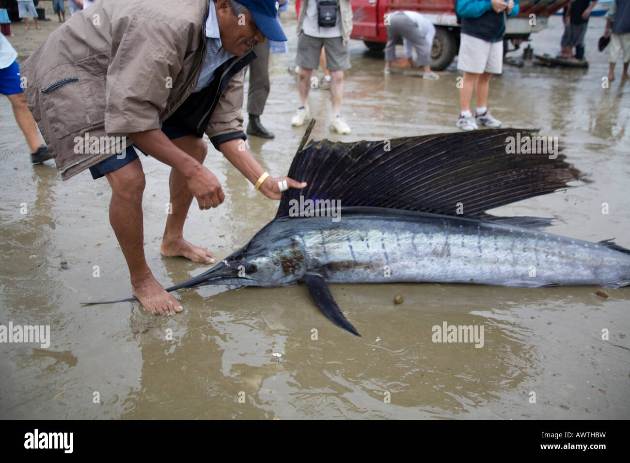 Fisherman with swordfish Puerto Lopez fishing Harbour Ecuador South America dorsal fin Stock Photo