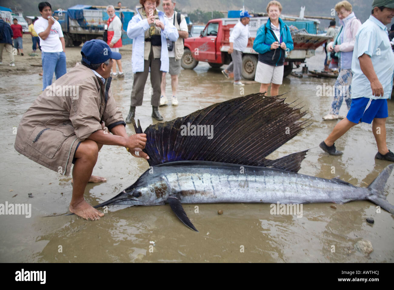 Fisherman with swordfish Puerto Lopez fishing Harbour Ecuador South