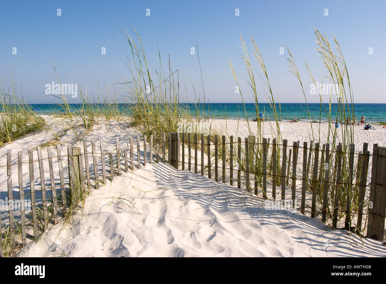 Sand dunes wooden fences and planted grasses help keep sand on the beaches and provide habitat for sea turtle nesting Stock Photo