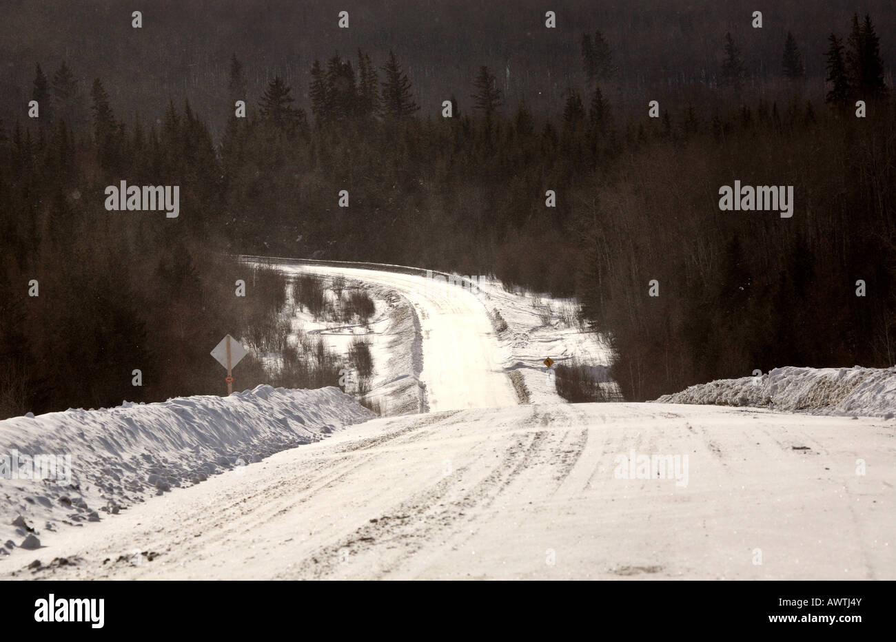 Forest road in winter Stock Photo - Alamy