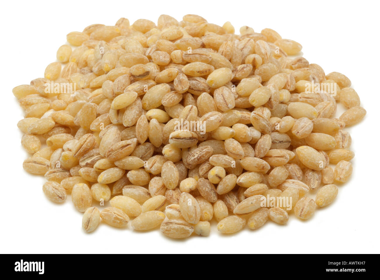 Pearl barley hordeum vulgare grain husk removed pulse brown tan Stock ...