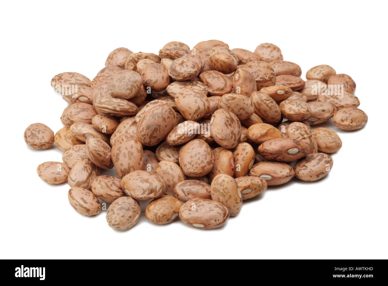 pinto bean legume pulse brown tan Stock Photo Alamy