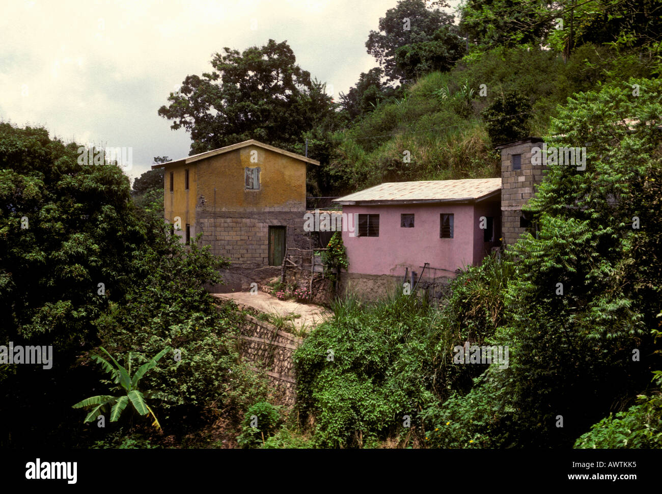 Albert Town, Cockpit Country, Trelawny Parish, Blue Mountains, Jamaica