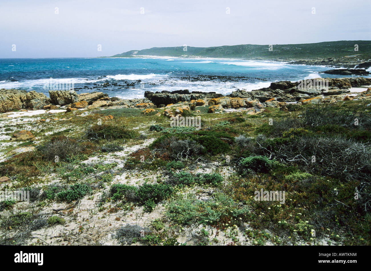 The southern end of the Cape Peninsula has sandy bays, not far from the