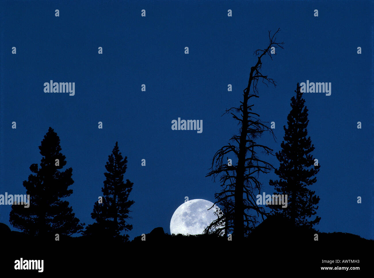 Moonset from Olmsted Point Yosemite National Park California United States Stock Photo