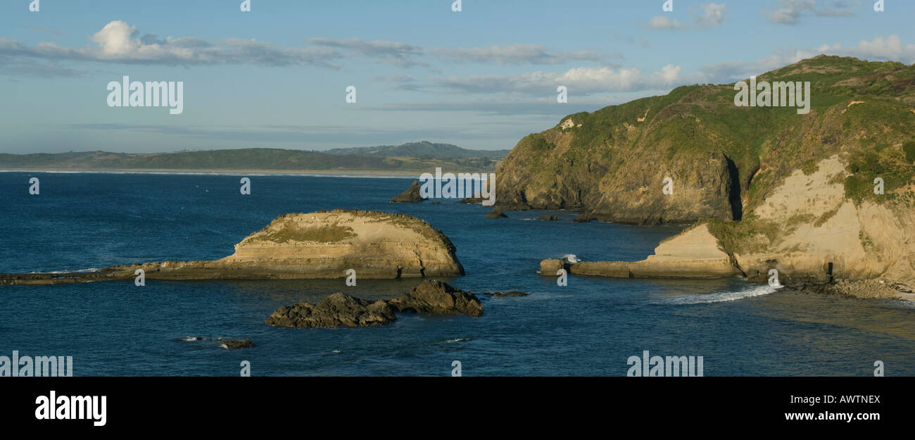 Pacific Coast, Coastal Habitat of Marine Otter (Lontra felina) or Chungungo, ENDANGERED, Chiloe Island, Chile Stock Photo