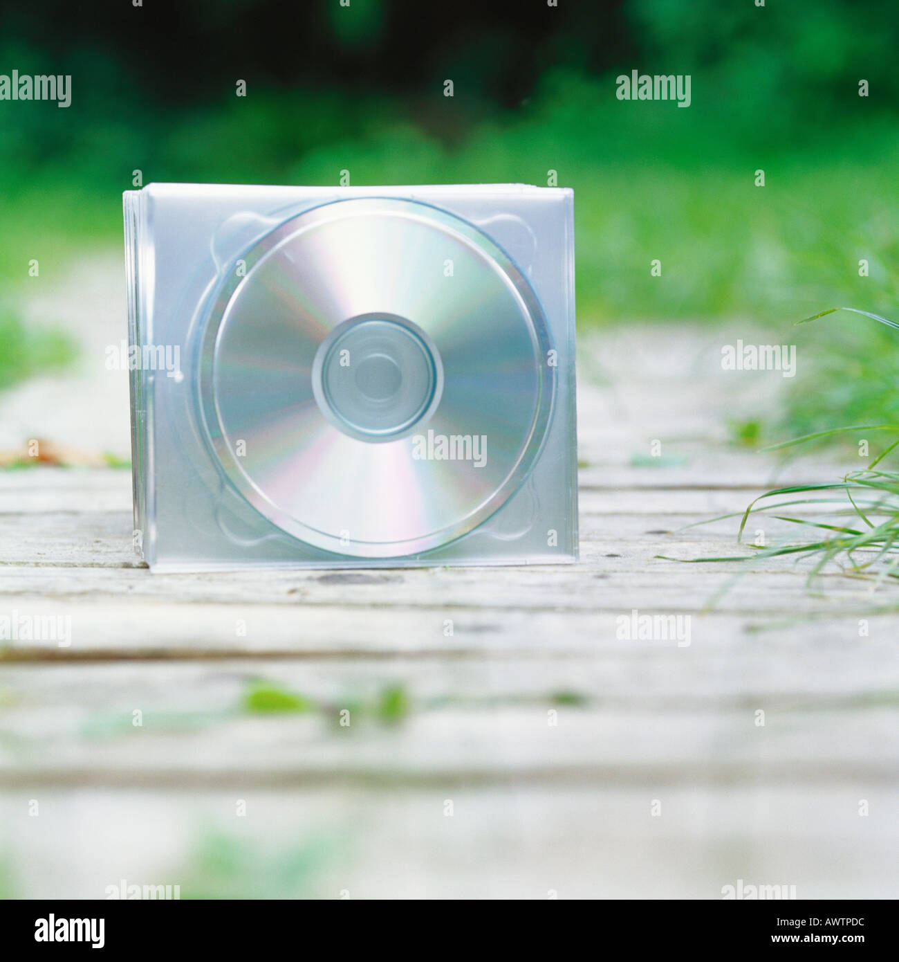 CDs on path Stock Photo