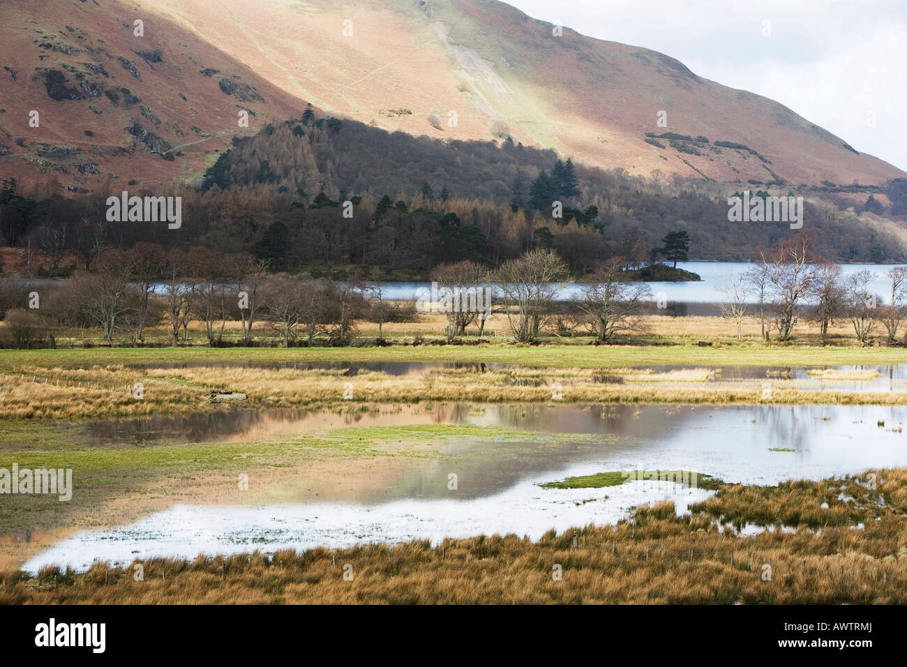 Flooded fields around Derwent Water, Lake district, Cumbria, England Stock Photo
