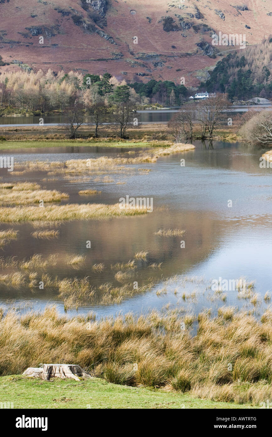 Flooded fields around Derwent Water, Lake district, Cumbria, England Stock Photo