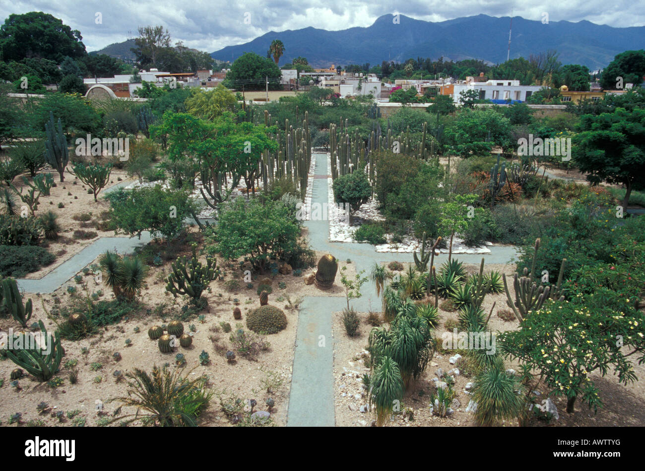 Ethnobotanical Garden or Jardin Etnobotanico behind the Museum of Oaxacan cultures, Oaxaca city, Mexico Stock Photo