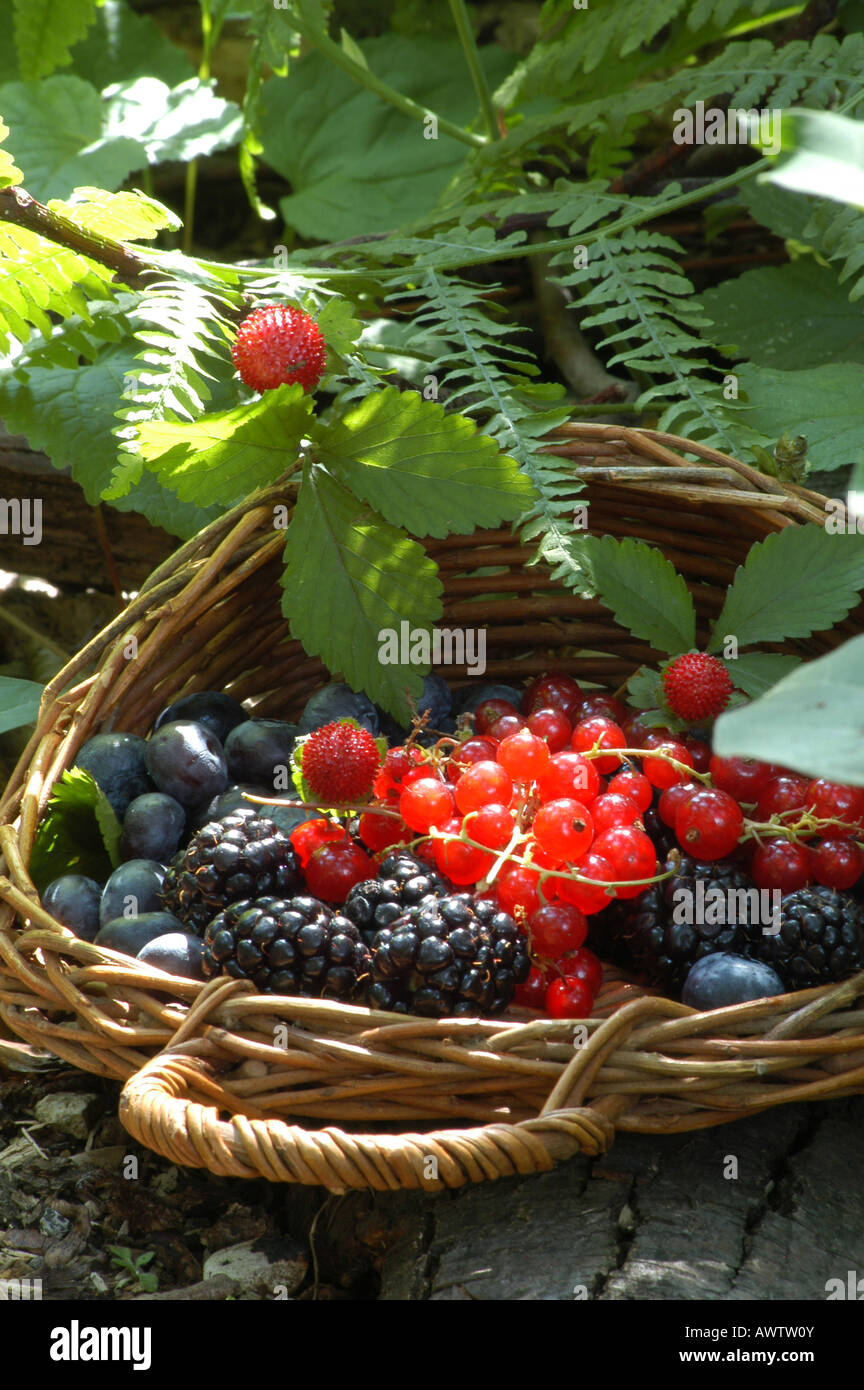 Soft fruit Frutti di bosco Stock Photo