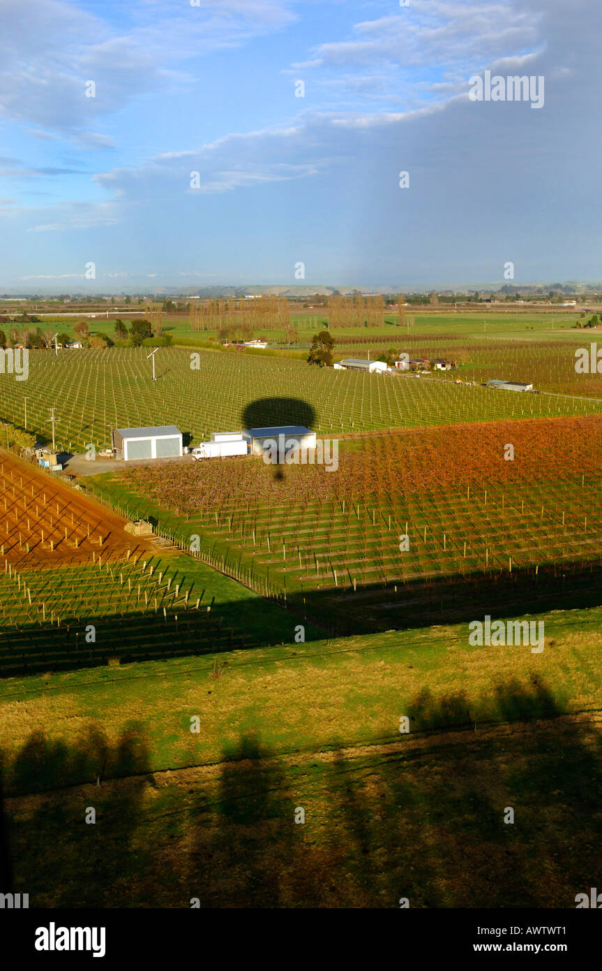 Shadow of hot air balloon over farm land, Hawkes Bay, New Zealand Stock Photo