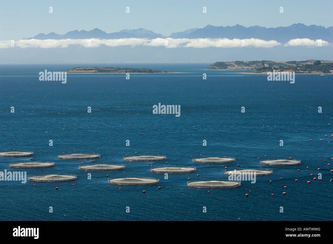 Aquaculture salmon farm, Marine Harvest, near Puerto Montt, Chile Stock Photo