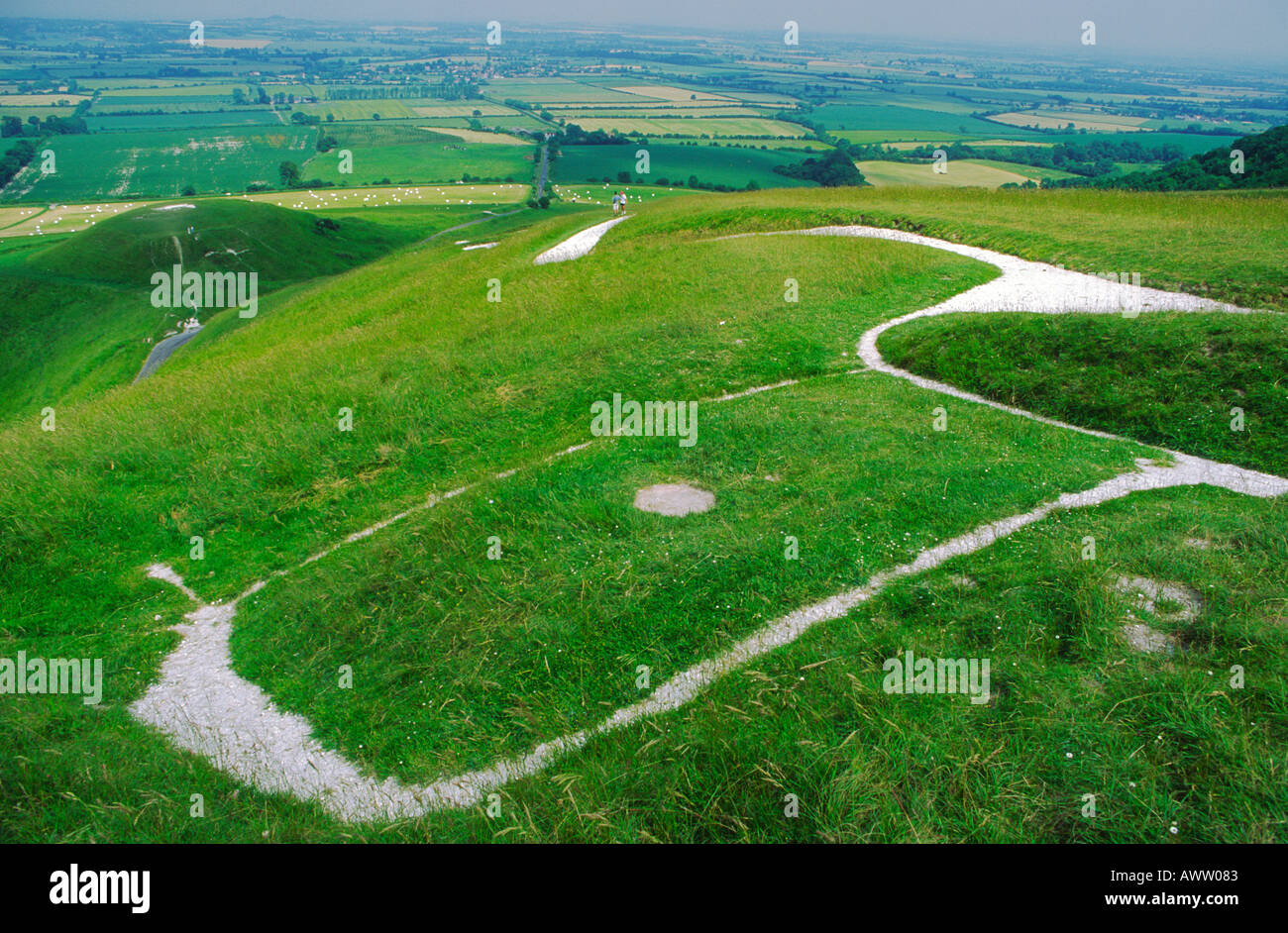 Head and eye spot of the White Horse chalk hill figure Uffington