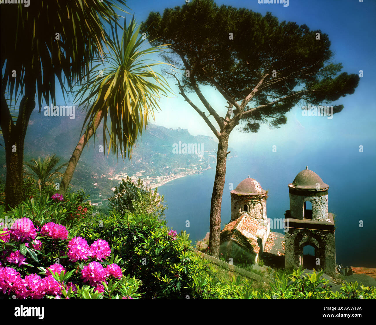 My Image 7