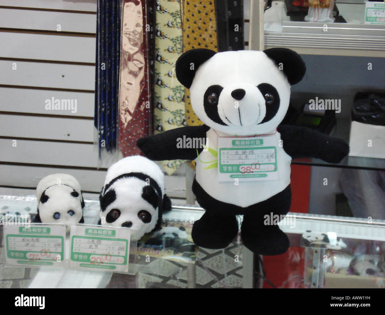 teddy zoo for sale