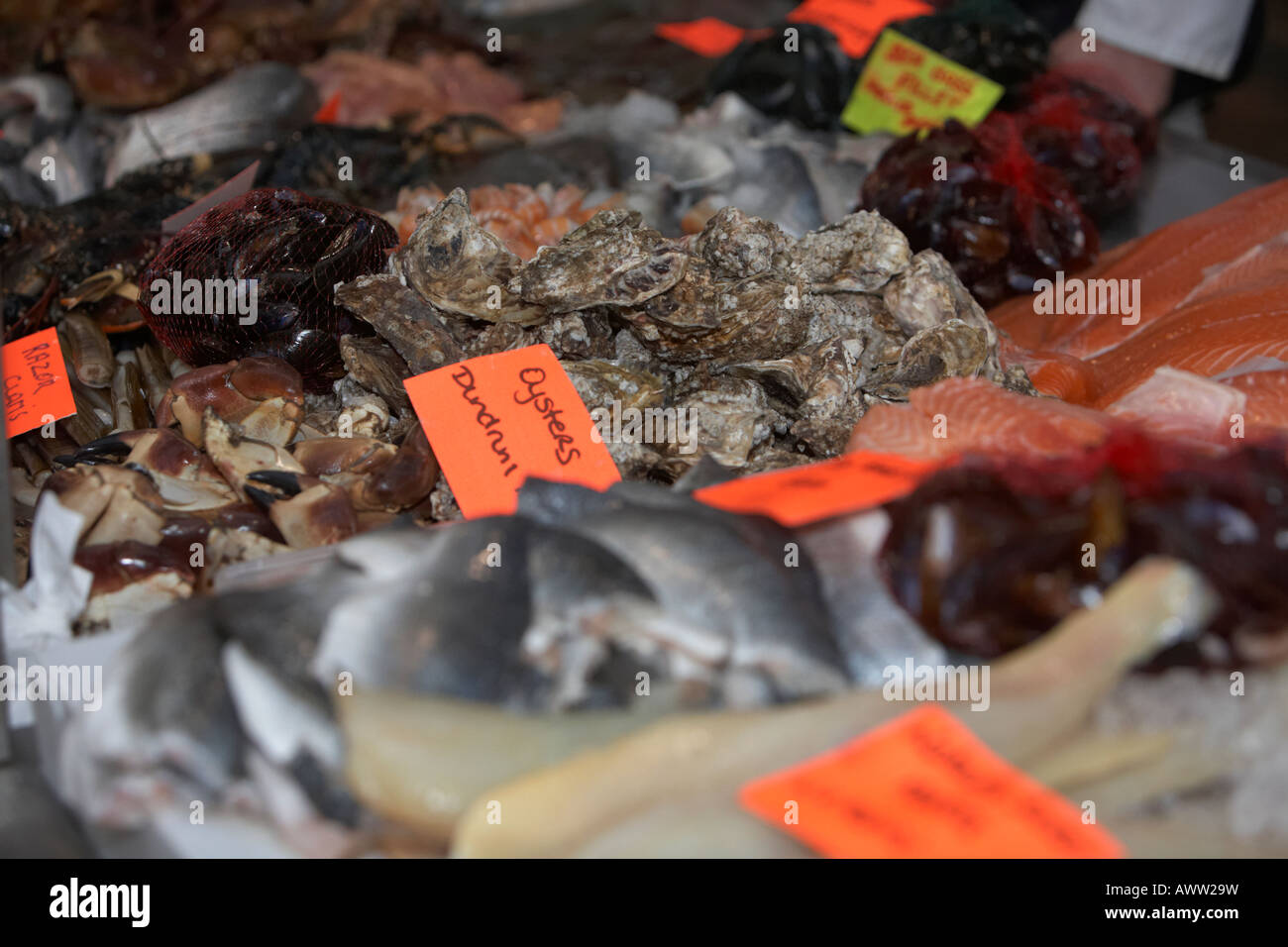 fresh shellfish including dundrum bay oysters on a fishmongers fresh fish stall at an indoor market Stock Photo